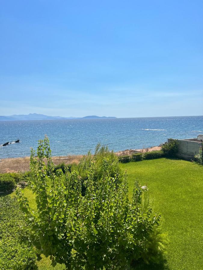 Seaside Mati